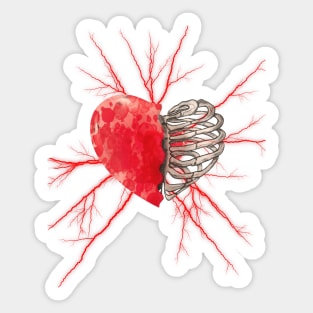 Skeleton rib heart, Broken, blood heart, watercolor design rib heart Sticker